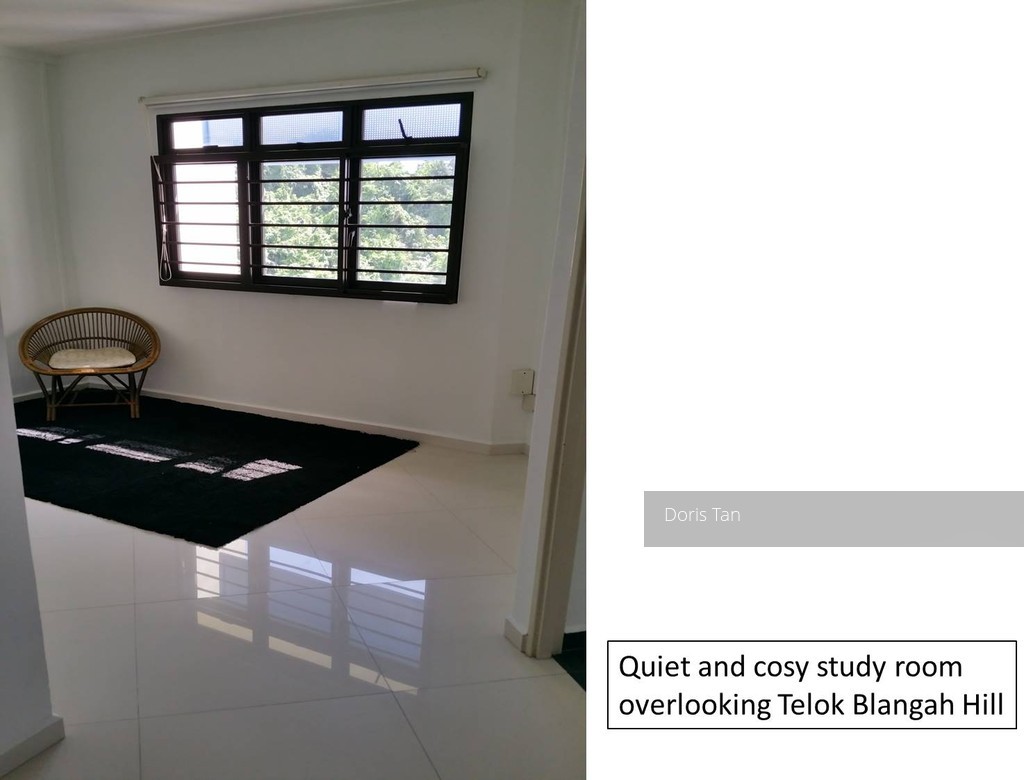 Blk 112B Depot Road (Bukit Merah), HDB 5 Rooms #110926812